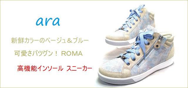 ara  アラ  トップ画像