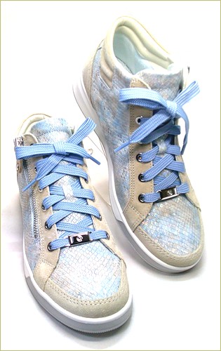 ara　アラ  右画像