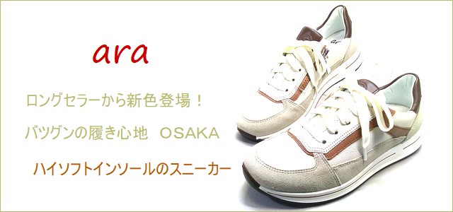 ara  アラ  トップ画像