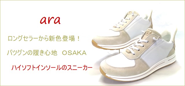 ara  アラ  トップ画像