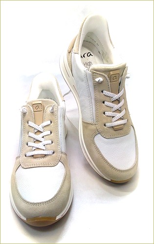 ara　アラ  右画像