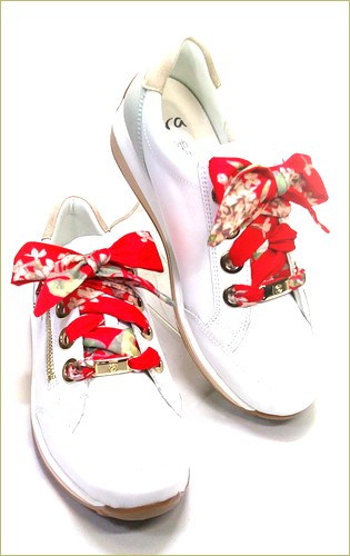 ara　アラ  右画像