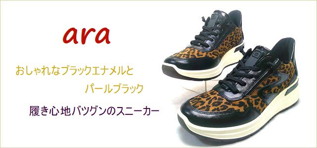 ara  アラ  トップ画像