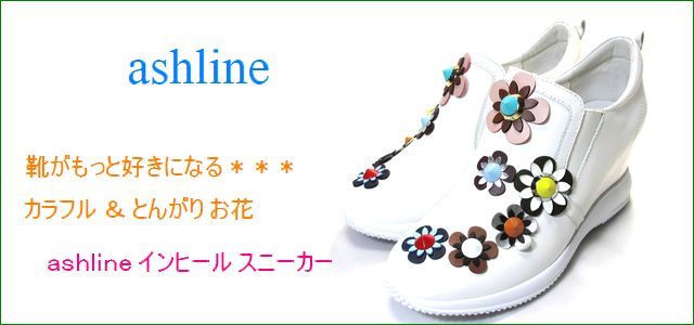 アシュライン ashline as161256wt ホワイト トップ画像
