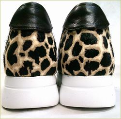 左画像 底の画像