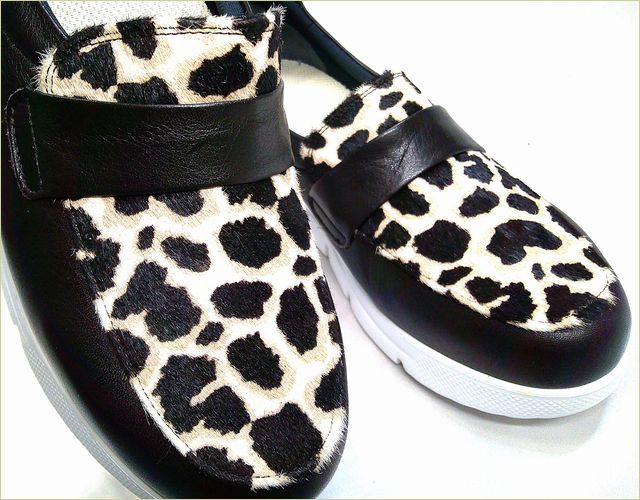 正面からの画像