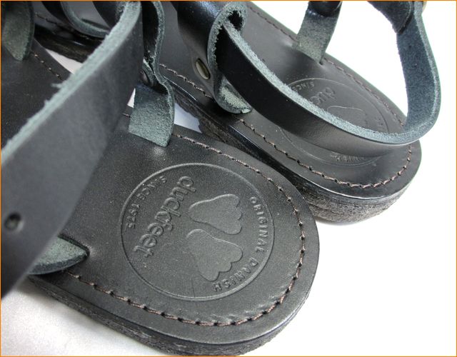 正面からの画像