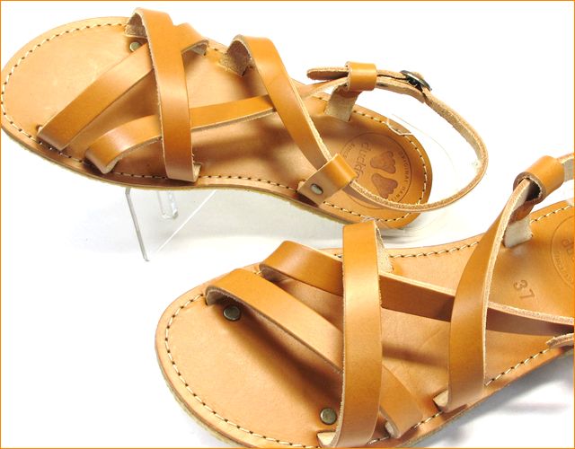 正面からの画像