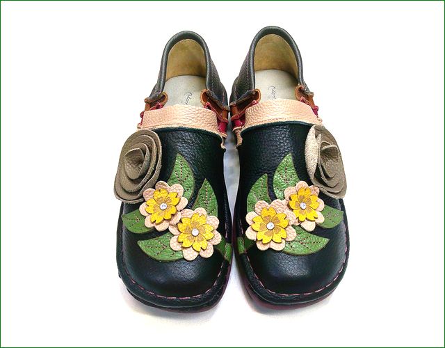 全体アップ画像