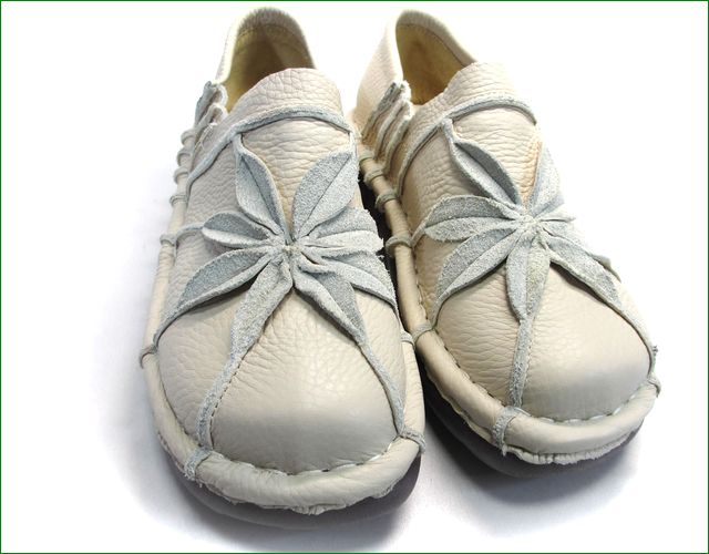 全体アップ画像