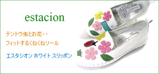 トップ画像