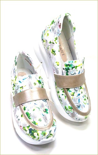 INVINA　インビナ  右画像