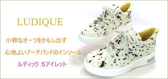 ludique ルディック トップ画像