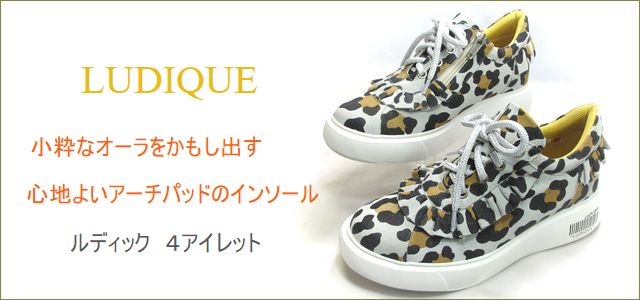 ludique ルディック トップ画像