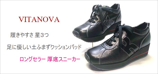 vitanova  ビタノバ   vt6967wtc　トップ画像